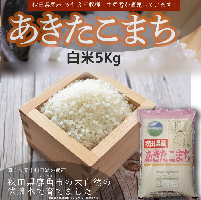 福井県産　新米餅米30kg  かぐらもち　減農薬　もち米30キロ