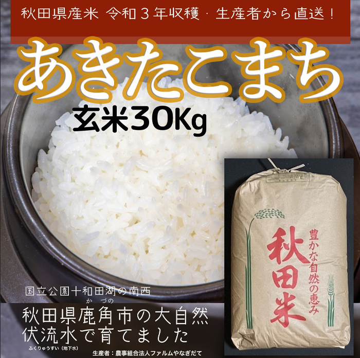 マンちゃん様専用令和4年徳島県鳴門市産無農薬栽培コシヒカリ玄米30kg