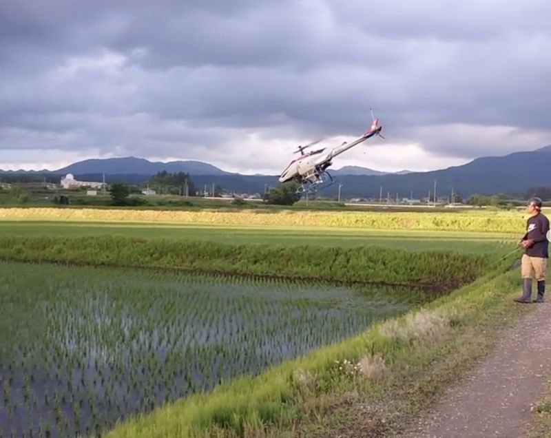 田植え後の田んぼの上を飛ぶ産業用の無人ヘリコプターと、畔で操縦する人